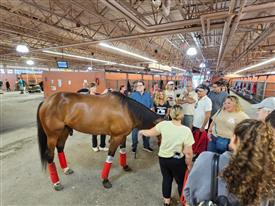 WRF 2025 Meadowlands-172447